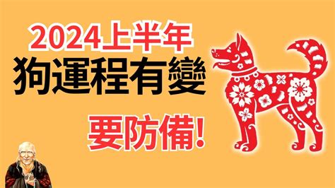 2024狗年運程1982|1982年属狗人2024年运程 1982年属狗人2024年运程运势